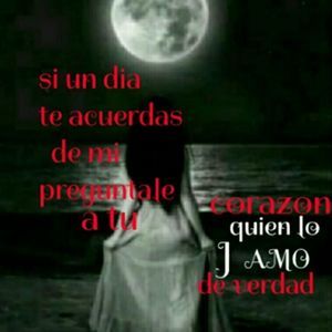 Meet your Posher, Eva